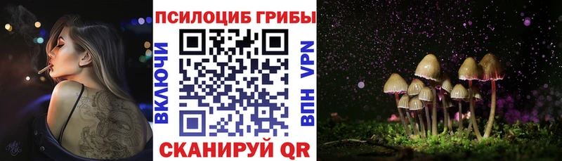 Купить  Верхнеуральск  Галлюциногенные грибы Psilocybe 